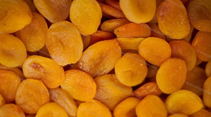 Apricot Dried