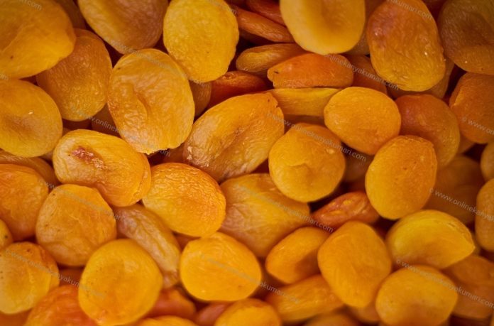 Apricot Dried Apricot Dried