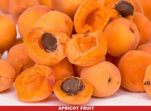 Apricot Fruit