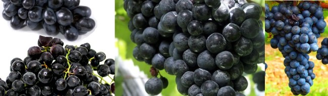 Grapes
