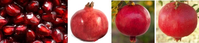 pomegranate