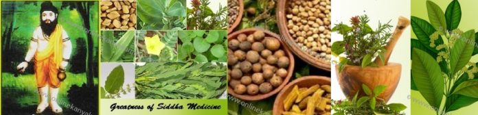 siddha medicine Siddha Medicine
