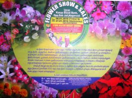 flower show 2016