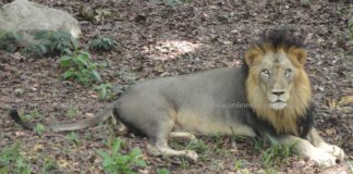 Trivandrum Tourist Places