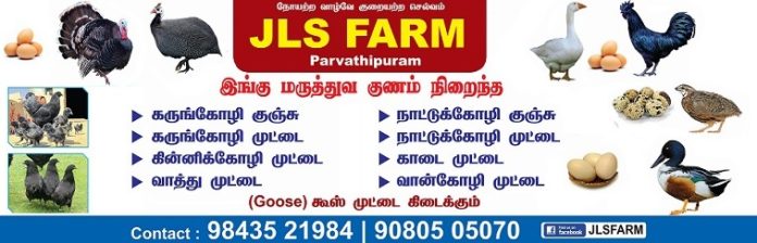 JLS Farm Nagercoil Chicken Farm JLS Farm Nagercoil