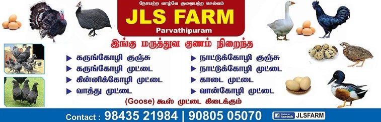 JLS Farm Nagercoil Chicken Farm JLS Farm Nagercoil