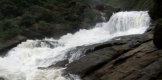 Vattaparai Falls | Vattaparai Waterfalls