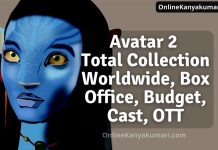 Avatar 2 Total Collection Worldwide, Box Office, Budget, Cast, OTT