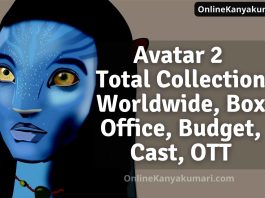 Avatar 2 Total Collection Worldwide, Box Office, Budget, Cast, OTT