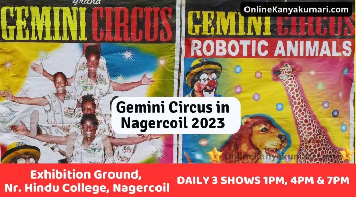 Circus in Nagercoil 2023 | Gemini Circus in Nagercoil