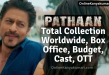 Pathaan Total Collection Worldwide