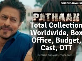 Pathaan Total Collection Worldwide
