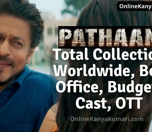 Pathaan Total Collection Worldwide